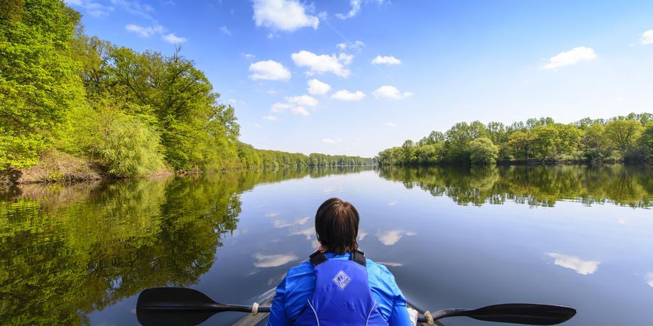 Person im blauen Kajak paddelt auf ruhigem Wasser, umgeben von grünen Ufern und einem klaren Himmel.