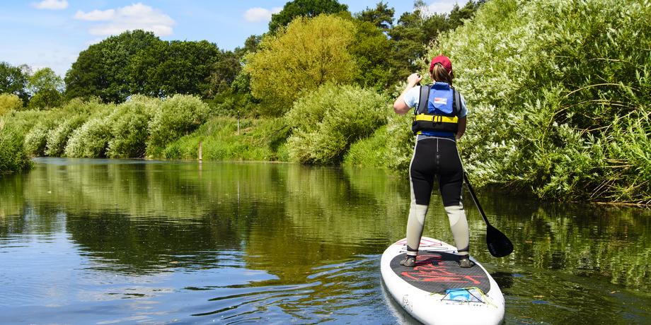 Frau paddelt auf einem Stand-Up-Paddle-Board auf einem ruhigen Gewässer, umgeben von grüner Ufervegetation.