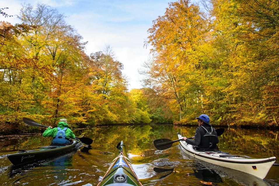 Zwei Kajakfahrer paddeln durch einen ruhigen Wasserweg, umgeben von bunten Herbstbäumen.