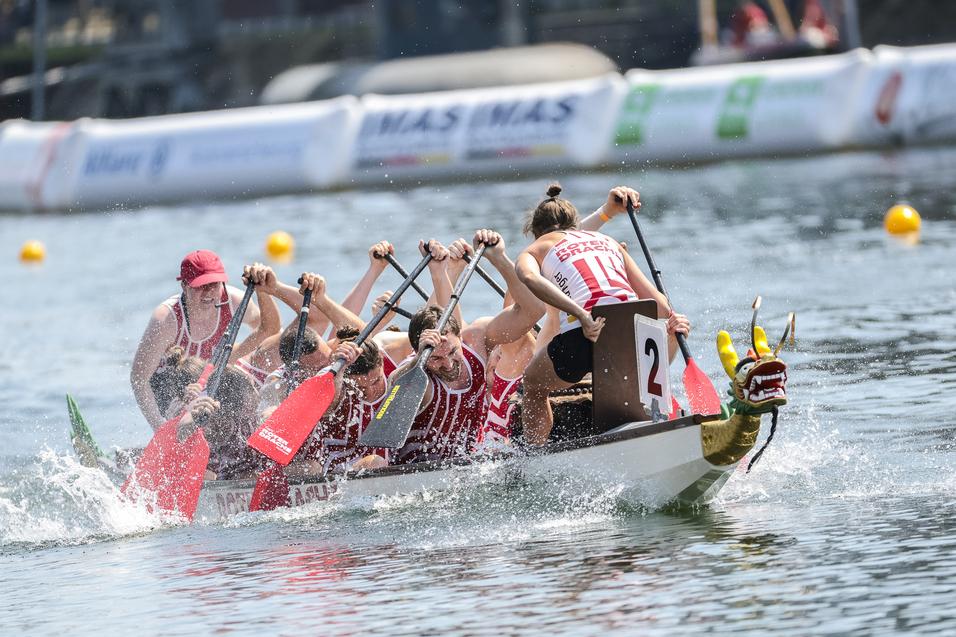 Acht Drachenbootfahrer paddeln synchron in einem Drachenboot mit Schnauze auf einem Gewässer bei Sonnenschein.