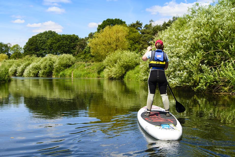 Frau paddelt auf einem Stand-Up-Paddle-Board auf einem ruhigen Gewässer, umgeben von grüner Ufervegetation.