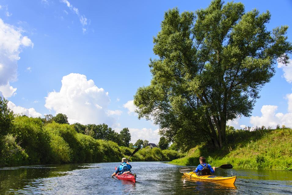 Zwei Kajakfahrer paddeln auf einem ruhigen Gewässer, umgeben von üppigem Grün und einem blauen Himmel mit Wolken.