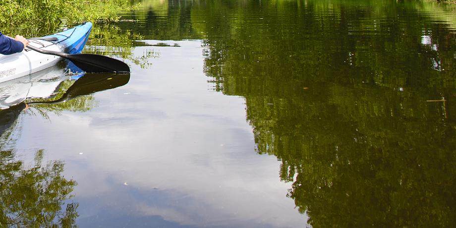 Person im Kajak paddelt auf ruhigem Wasser zwischen grünen Bäumen unter einem teilweise bewölkten Himmel.