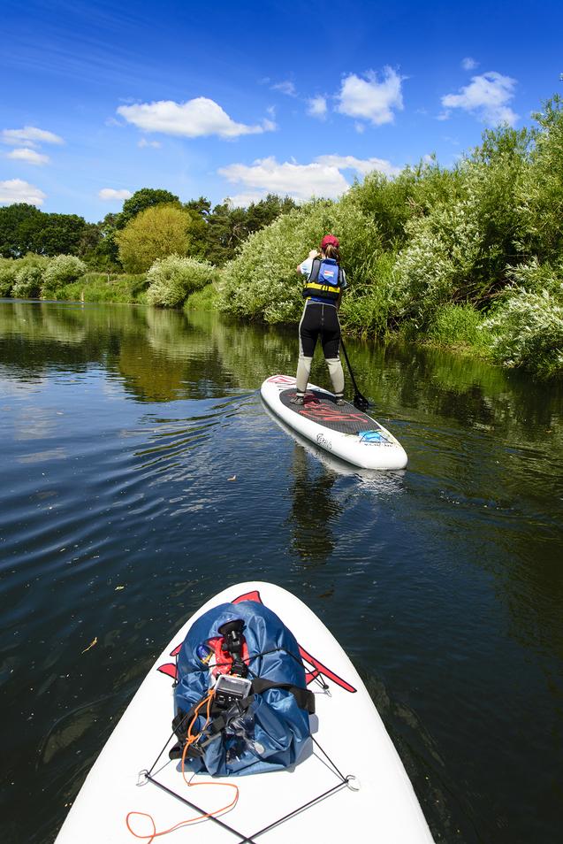 Paddlerin steht auf einem Stand-Up-Paddle-Board auf ruhigem Wasser, umgeben von grüner Vegetation und blauem Himmel.