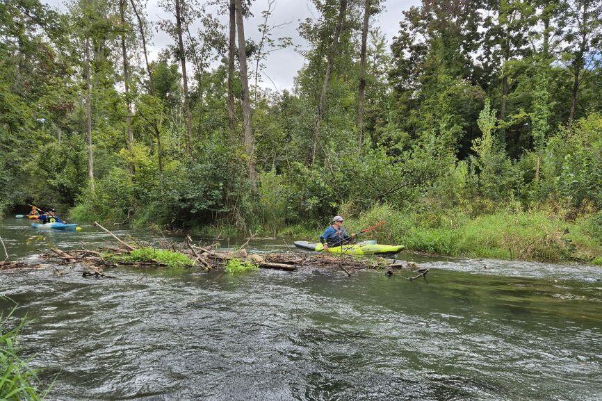 Zwei Kajakfahrer paddeln auf einem schmalen Gewässer zwischen Bäumen und Sträuchern. Wasser und Ufer sind grün.