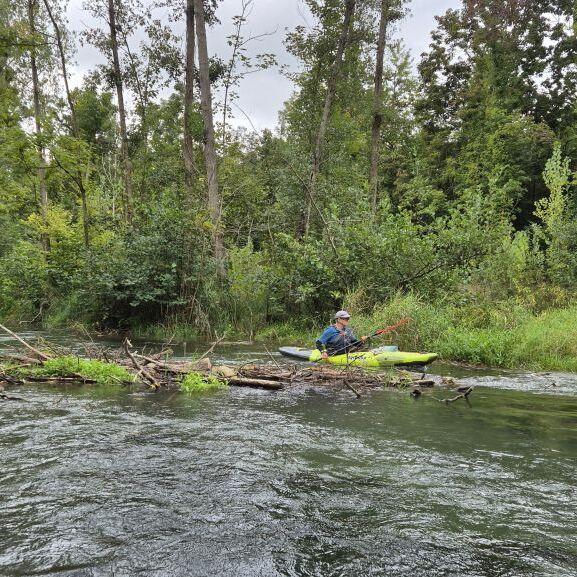 Zwei Kajakfahrer paddeln auf einem schmalen Gewässer zwischen Bäumen und Sträuchern. Wasser und Ufer sind grün.