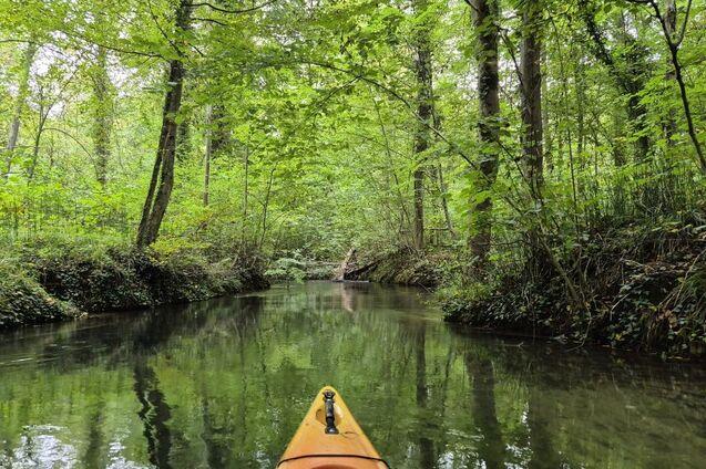 Nahaufnahme eines Kanus auf ruhigem Wasser, umgeben von dichten, grünen Bäumen und reflektierenden Wasserflächen.