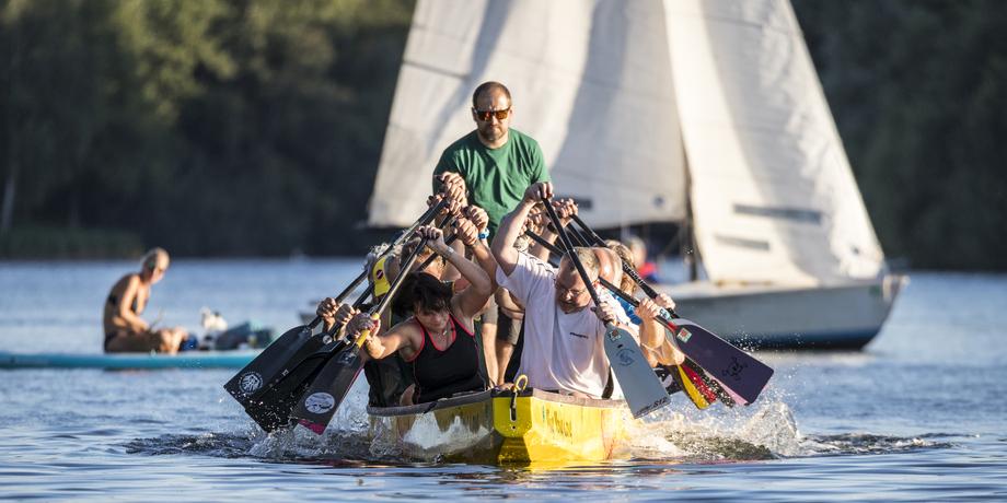 Acht Ruderer paddeln synchron in einem Drachenboot auf einem ruhigen Gewässer, im Hintergrund ein Segelboot.