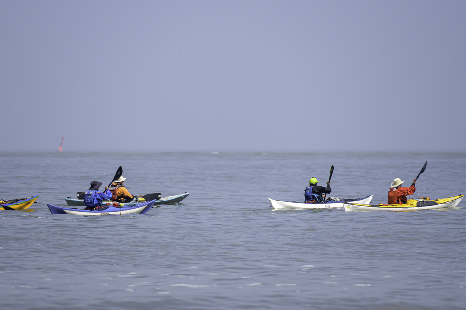 Fünf Kajakfahrer paddeln in einem ruhigen Gewässer unter blauem Himmel.