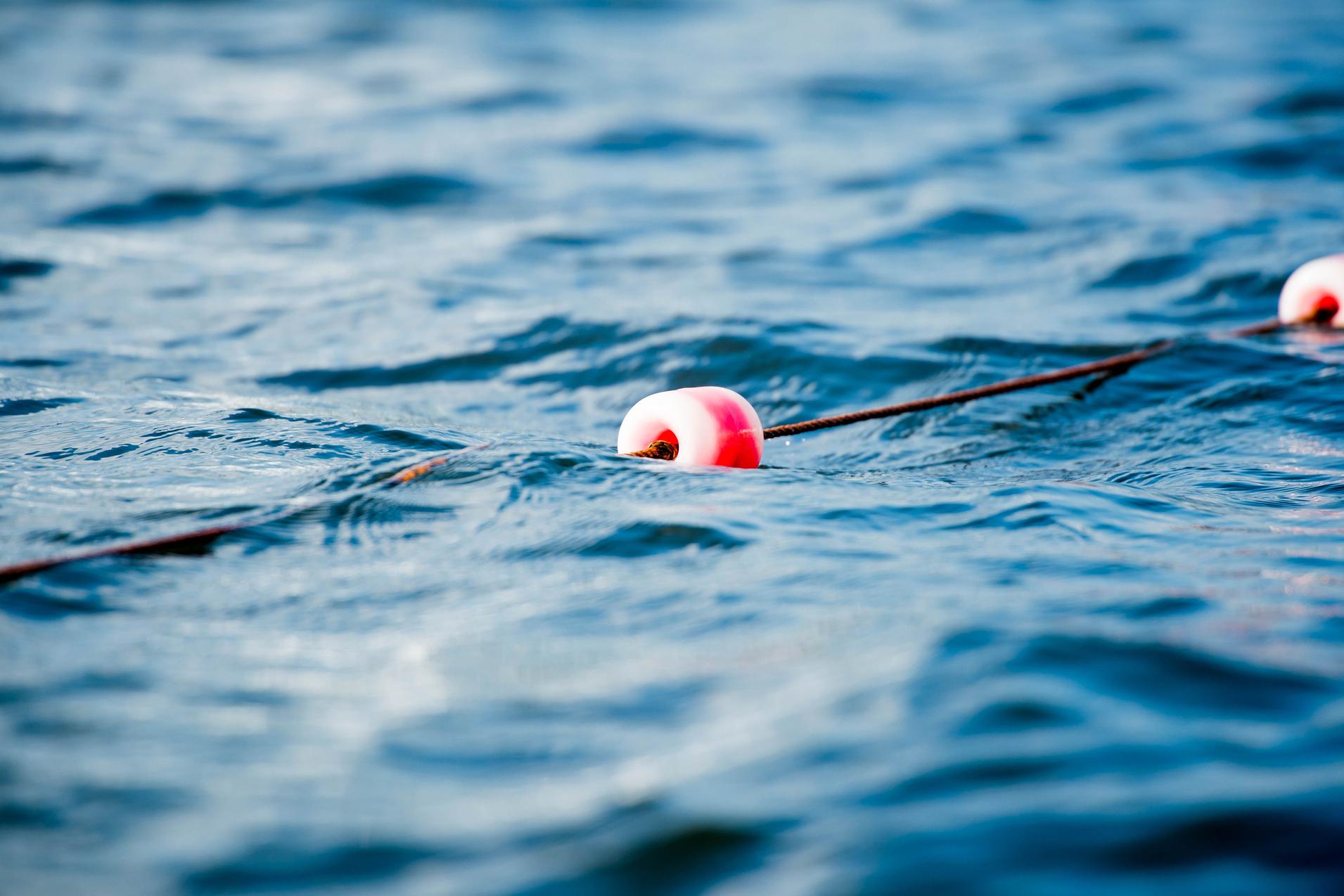 Rote Schwimmboje auf einer Schnur schwimmt auf der welligen Wasseroberfläche.